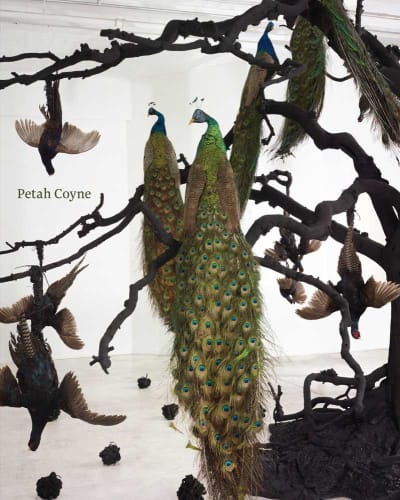Petah Coyne: Everything That Rises Must Converge, Joseph C. Thompson, Denise Markonish, A.M. Homes, et al.