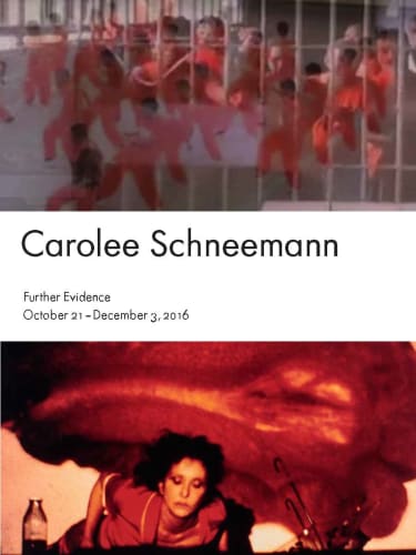 Carolee Schneemann: Further Evidence, Text by Soyoung Yoon
