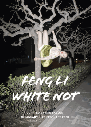 FENG LI: WHITE NOT, Marguo Books