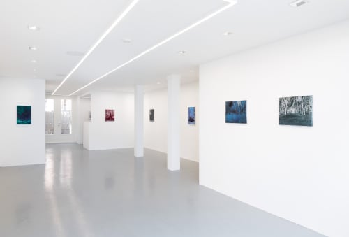 Michael Raedecker, demo