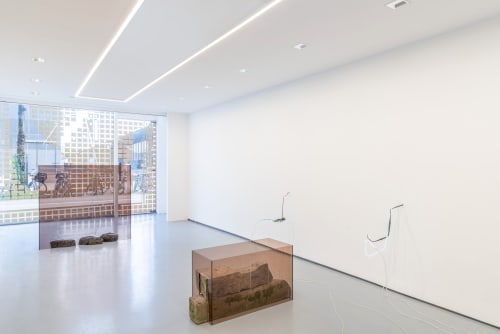 Saskia Noor van Imhoff, Four floating patches, secondary shoots
