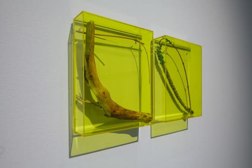 The Botanical Revolution, group exhibition incl Saskia Noor van Imhoff