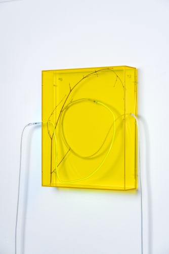 Saskia Noor van Imhoff | Sweet connected, 2021