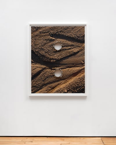 Letha Wilson | Joshua Tree Bronze Push (Washout Two Holes), 2016