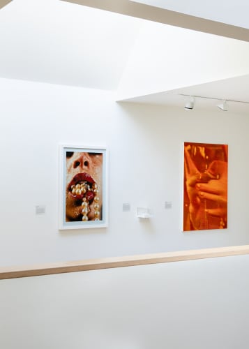 Installation view | Immortal Apples, Eternal Eggs | Hastings Contemporary (UK), 2024 | Photo: Chip Creative