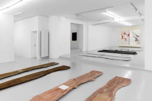 Lucy Skaer, Past Shows