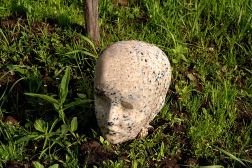 Paradys 2025 – Following A Tangle Of Roots in Leeuwarden – Zomerwandelingen #3