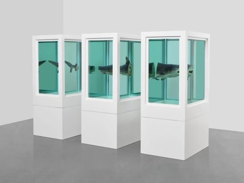Damien Hirst: Priceless Provocations