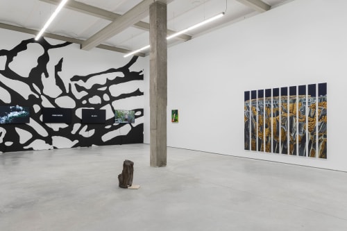 View of "A Botanical Conversation", 2024, Harlan Levey Projects, Brussels