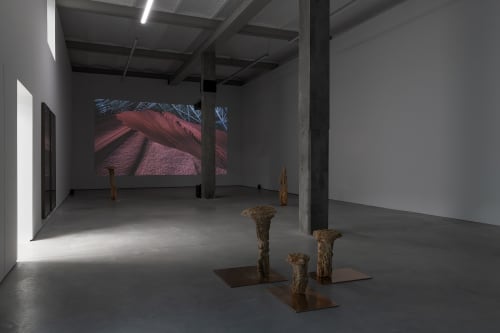 Ella Littwitz, exhibition view, "The Day the Sky Hung Low", Harlan Levey Projects, 2024. Photo credit Adriaan Hauwaert