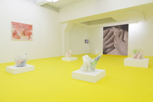 Andrea Éva Győri, Chest Variations