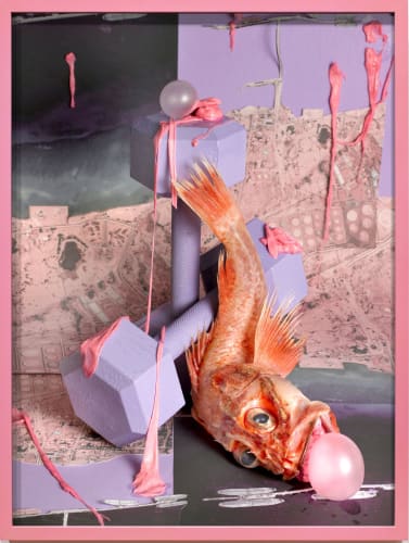 Sheida Soleimani in The New York Times