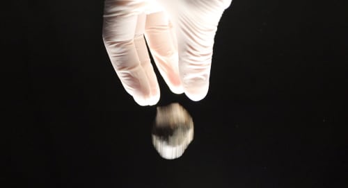 EXHIBITION | Amélie Bouvier