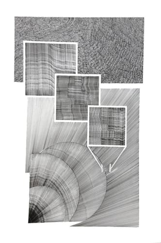 EXHIBITION | Amélie Bouvier