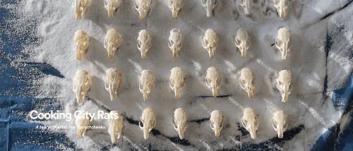 PRESS | Petr Davydtchenko