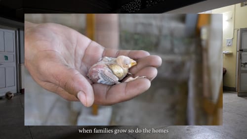 Video still, Haseeb Ahmed, "Sa(a)ns", 2024, Video, 6 min. 48 sec.