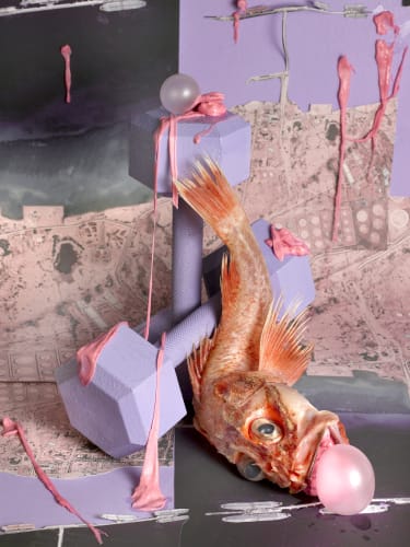 Sheida Soleimani in Spot Magazine: Houston Center for Photography