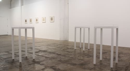 Nicole Phungrasamee Fein, Foci