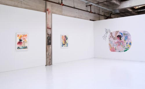 Rina Banerjee, Blemish