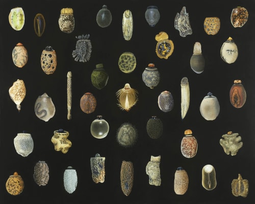 Oil painting featuring 45-50 phasmid insect egg cases on black background.
