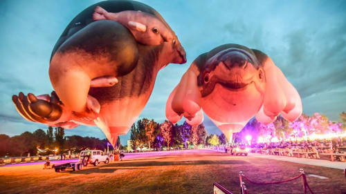 “Skywhalepapa” and “Skywhale”; Image Courtesy of Karleen Minney & The Canberra Times