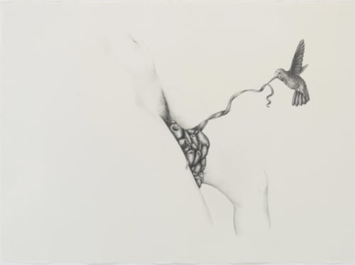 Patricia Piccinini, "Figure and Hummingbird," 2011, graphite on paper, 22 1/4 x 30 in