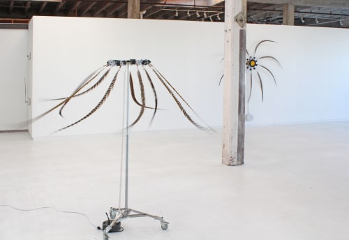 Irrational Exuberance, 2013, installation view