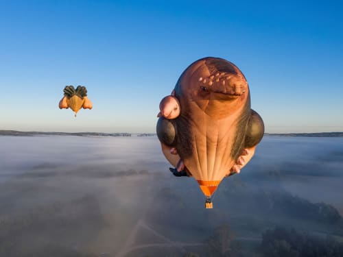 Patricia Piccinini, Skywhalepapa (2020), right, and Skywhale (2013), left. Courtesy the artist and National Gallery of Australia.