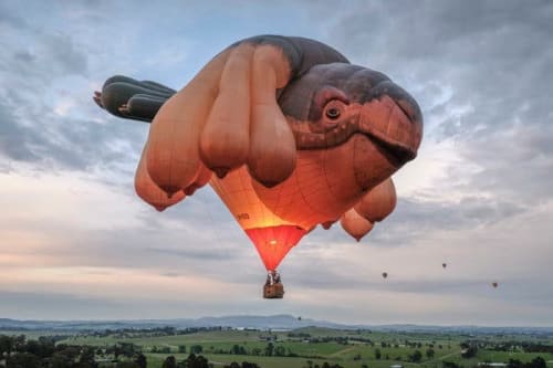 Patricia Piccinini, "Skywhale," 2013. Image courtesy of Andrew Chapman