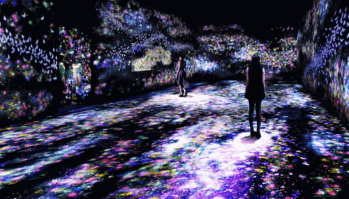teamlab at Pace Art and Technology in Menlo Park (Courtesy: teamlab)