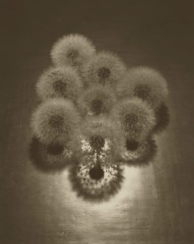 The Photography Show 2024, Hosted by AIPAD at the Park Avenue Armory