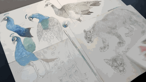 Daisuke Nakano Studio Tour