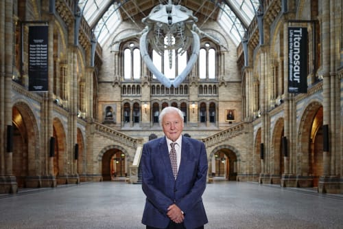 Sir David Attenborough at the Natural History Museum. (c) The Trustees of the NHM