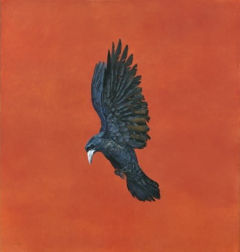 Shine – Red, watercolour and gouache on Arches 640gsm paper, 40 x 36ins (101.6 x 91.4cm), by Tim Hayward