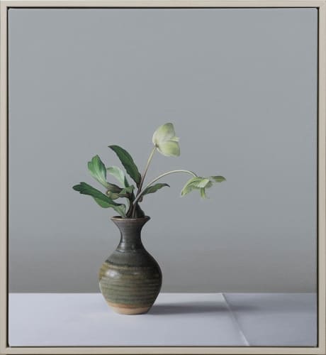 Jo Barrett: Still Lifes