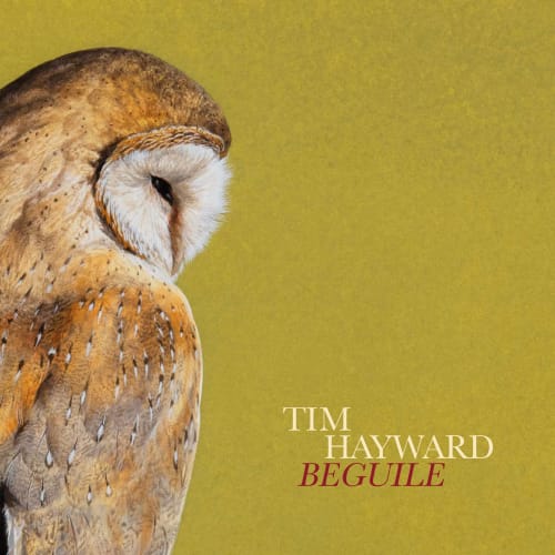 Tim Hayward: Beguile