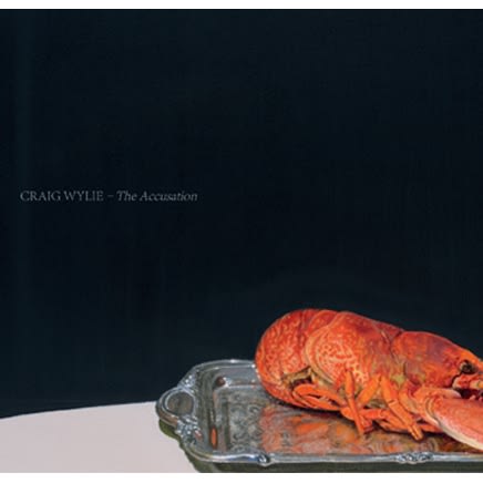 Craig Wylie : The Accusation