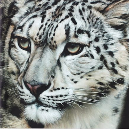 Gary Stinton : Eye to Eye