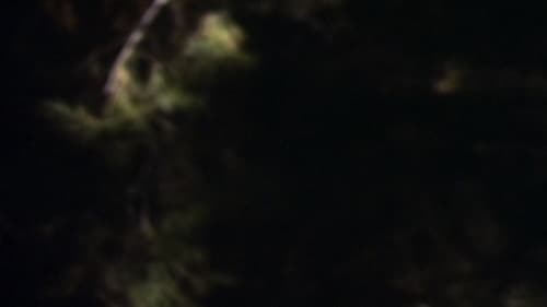 Josh Azzarella, Untitled #100 (Fantasia), Kavi Gupta | 835 W. Washington Blvd. Chicago, IL, 60607