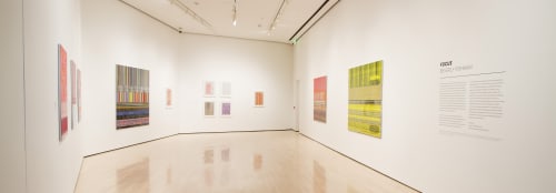 Focus: Beverly Fishman, Installation View, MSU Broad, 2013. Photo: Eat Pomegrante Photography