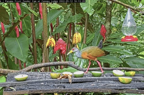 Courtesy of Art Papers.