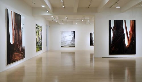 Claire Sherman: Sempervirens, 2014