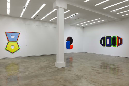 Beverly Fishman Chemical Sublime at Kavi Gupta | Elizabeth St. 2018