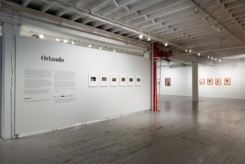 TILDA SWINTON HAS CURATED AN EXHIBITION THEMED ON VIRGINIA WOOLF’S ORLANDO