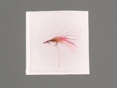 Michi Meko, Black Deceiver Flies, 2022. Image courtesy of Take It Easy.