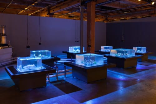 Glenn Kaino, Tanks at Prospect 3, New Orleans, 2014