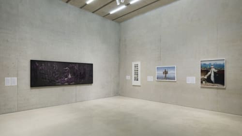 Mary Sibande: Narratives in Focus