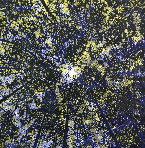 Woodland Skyscape, Var. 96