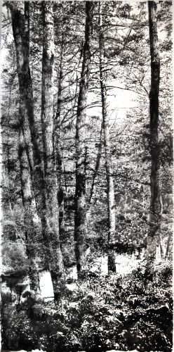 Andrea Kantrowitz