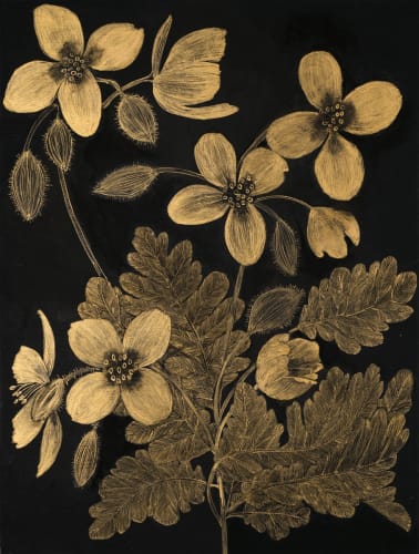 Walking Not Talking - Nature as Muse, Margot Glass, Richard Klein, and Francis Sills